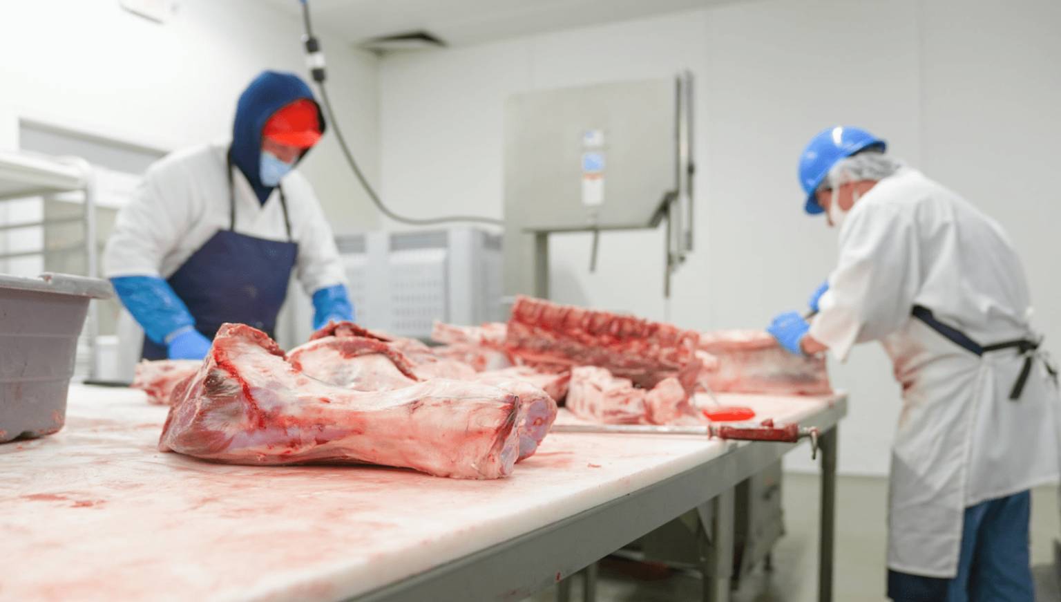 meat processing plant cleaning
