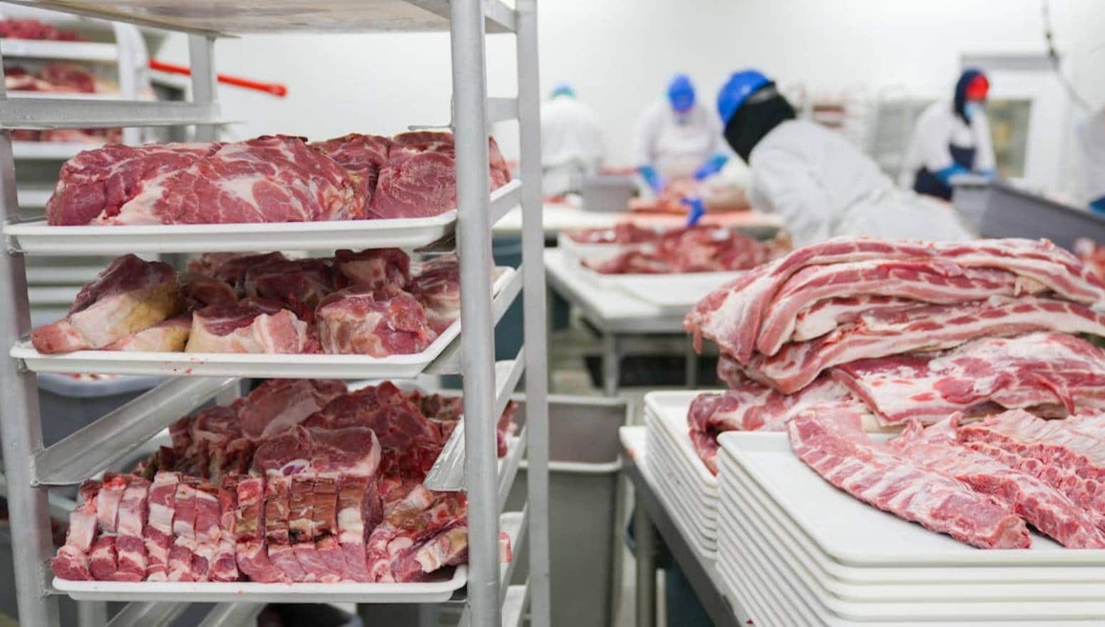 understanding critical control point in meat processing